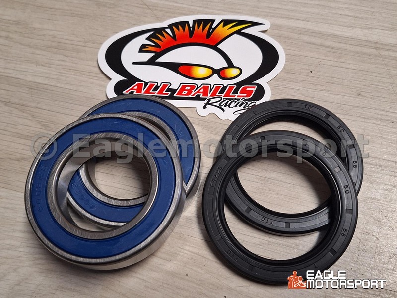 Achteras lager set Raptor 660